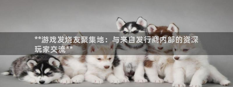 蓝狮子公司怎么样知乎：**游戏发烧友聚集地：与来自发行商内部的资深
玩家交流**