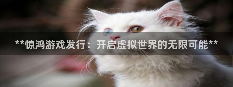蓝狮在线代理开号：**惊鸿游戏发行：开启虚拟世界的无限可能**