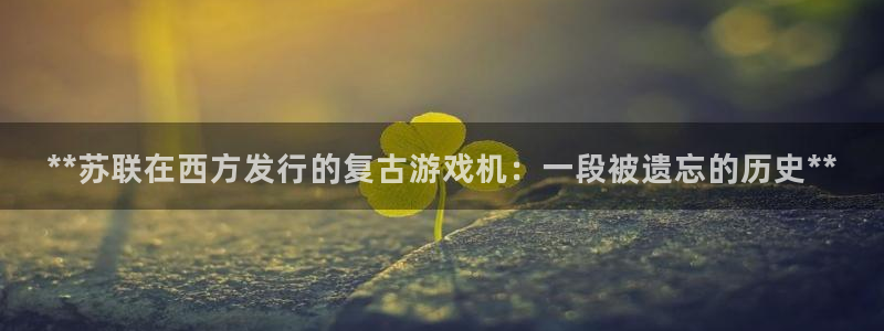 蓝狮防水是几线品牌：**苏联在西方发行的复古游戏机：一段被遗忘的历史**