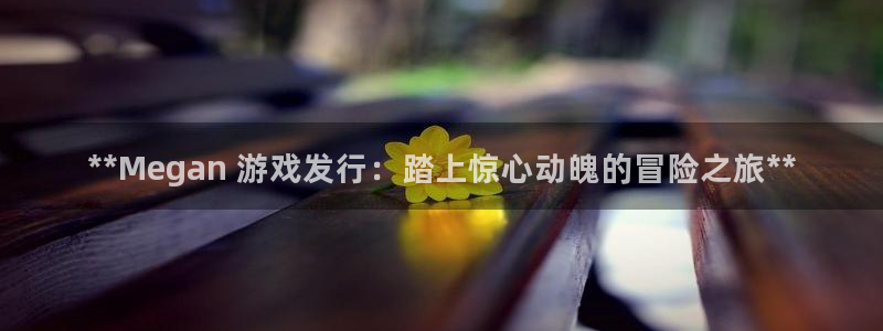 广州蓝狮投资：**Megan 游戏发行：踏上惊心动魄的冒险之旅**