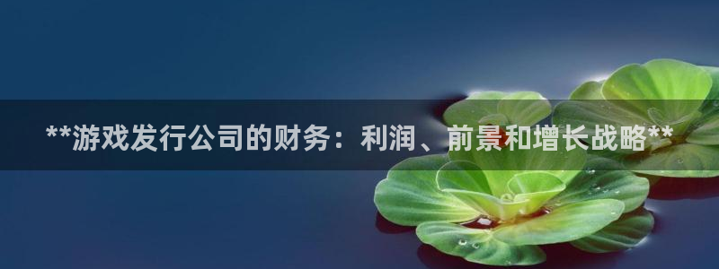 蓝狮子经理人：**游戏发行公司的财务：利润、前景和增长战略**