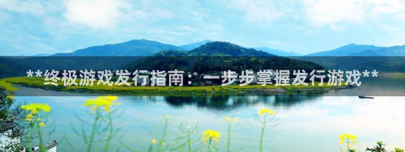 蓝狮电子商务有限公司怎么样：**终极游戏发行指南：一步步掌握发行游戏**