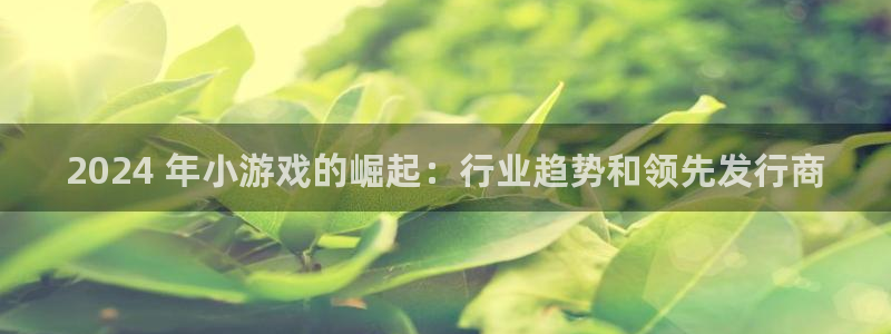 蓝狮子教育科技有限公司：2024 年小游戏的崛起：行业趋势和领先发行商