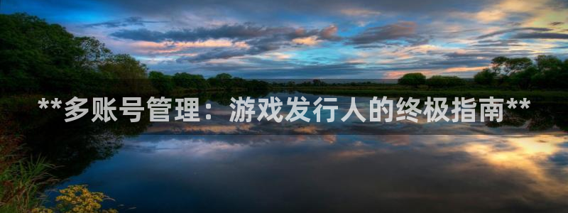 蓝狮环境：**多账号管理：游戏发行人的终极指南**