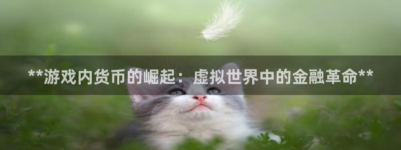 广东蓝狮电子商务有限公司：**游戏内货币的崛起：虚拟世界中的金融革命**