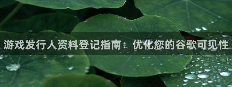 蓝狮logo：游戏发行人资料登记指南：优化您的谷歌可见性