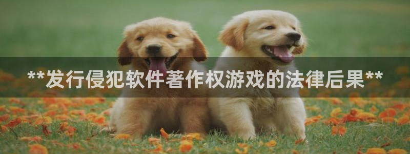 蓝狮男装品牌：**发行侵犯软件著作权游戏的法律后果**