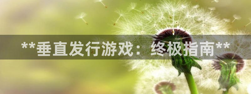 蓝狮运动装有哪些品牌：**垂直发行游戏：终极指南**