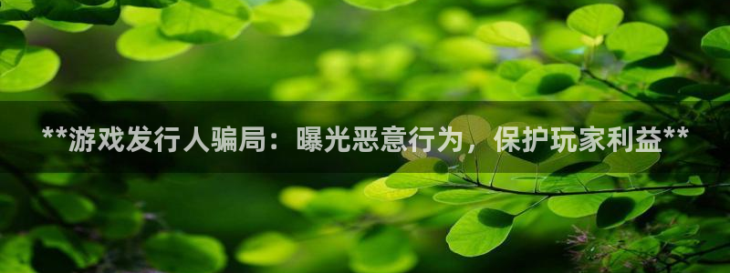 蓝狮子酒业：**游戏发行人骗局：曝光恶意行为，保护玩家利益**