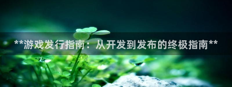 蓝狮集团董事长刘一辰简历：**游戏发行指南：从开发到发布的终极指南**