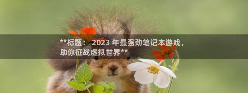 蓝狮在线代理开号平台：**标题： 2023 年最强劲笔记本游戏，
助你征战虚拟世界**