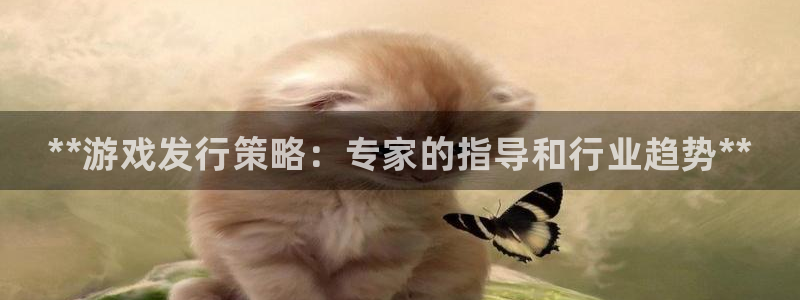 蓝狮子图书：**游戏发行策略：专家的指导和行业趋势**