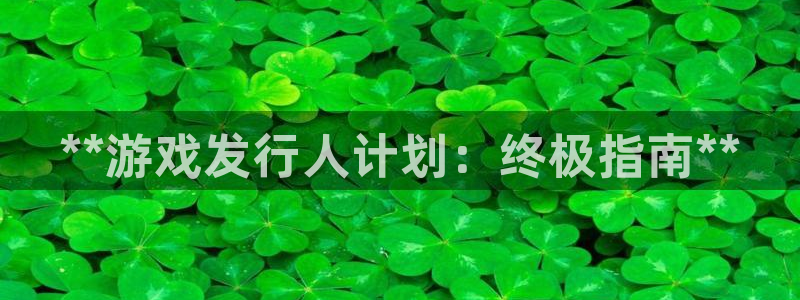 蓝狮技术有限公司怎么样