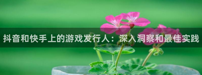 蓝狮电子商务：抖音和快手上的游戏发行人：深入洞察和最佳实践