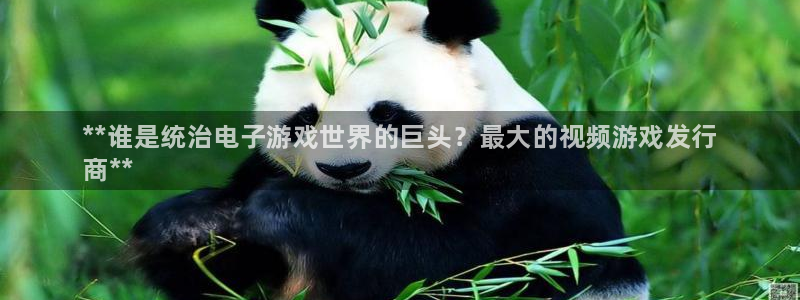 蓝狮在线平台怎么样可靠吗