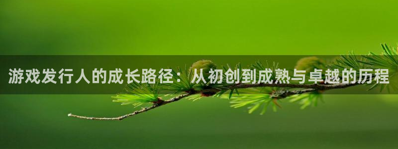 蓝狮子文化创意有限公司：游戏发行人的成长路径：从初创到成熟与卓越的历程