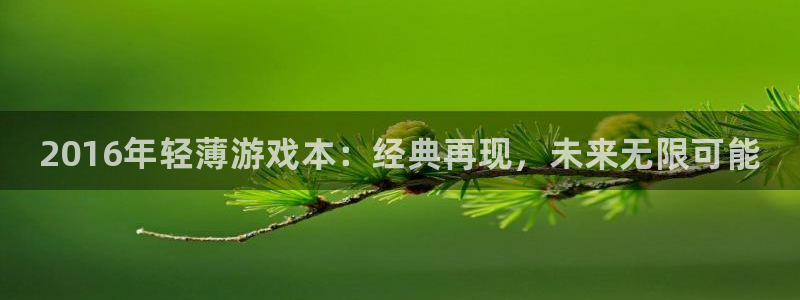 东莞蓝狮信息科技有限公司：2016年轻薄游戏本：经典再现，未来无限可能