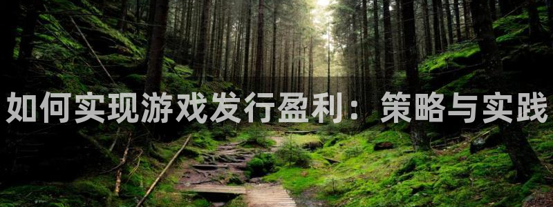 蓝狮服装分店有几家：如何实现游戏发行盈利：策略与实践