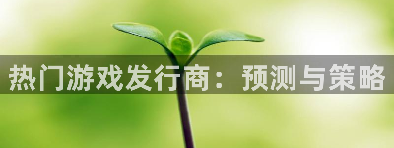 蓝狮是什么品牌：热门游戏发行商：预测与策略