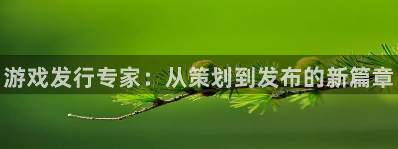 重庆蓝狮子文化传播有限公司：游戏发行专家：从策划到发布的新篇章