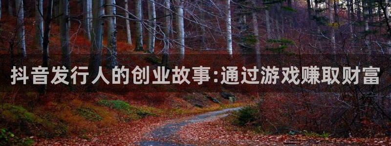 蓝狮子集团：抖音发行人的创业故事:通过游戏赚取财富