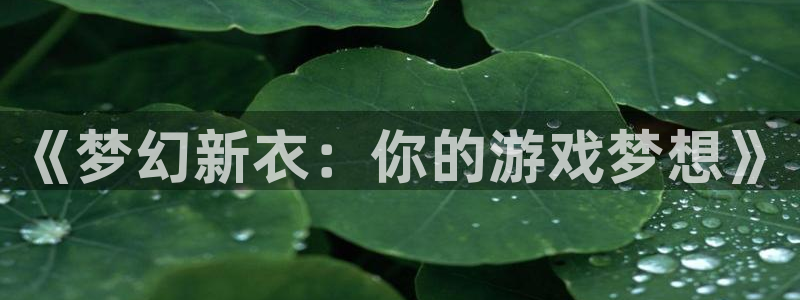 蓝狮集团公司怎么样