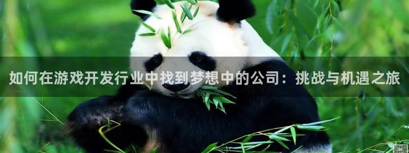 蓝狮智得官网：如何在游戏开发行业中找到梦想中的公司：挑战与机遇之旅