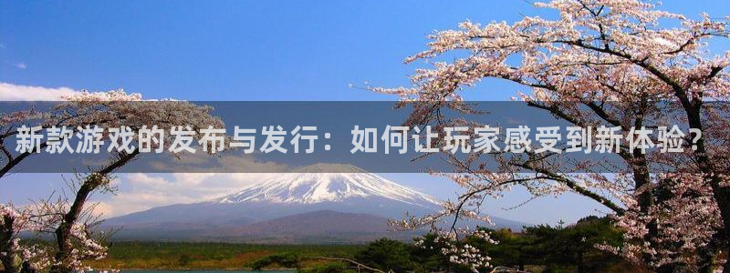 蓝狮在线客服电话是多少：新款游戏的发布与发行：如何让玩家感受到新体验？