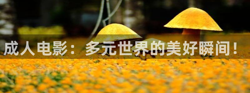 熊猫电影xm66免费播放：成人电影：多元世界的美好瞬间！