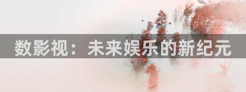 熊猫电影网站免费观看：数影视：未来娱乐的新纪元