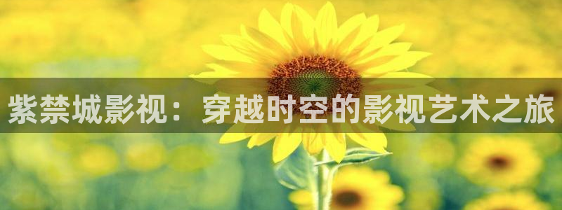 熊猫电视：紫禁城影视：穿越时空的影视艺术之旅