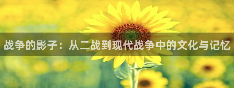熊猫影院xm66最新版本功能：战争的影子：从二战到现代战争中的文化与记忆