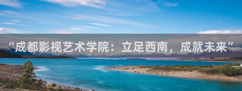 熊猫包：“成都影视艺术学院：立足西南，成就未来”