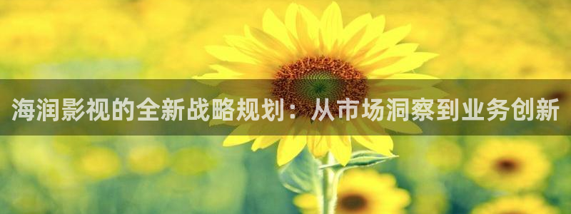 中电熊猫：海润影视的全新战略规划：从市场洞察到业务创新