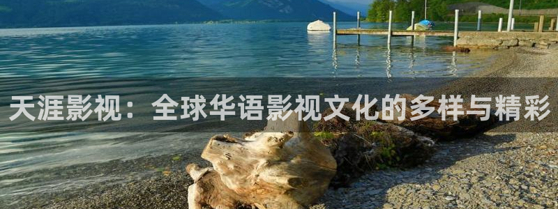 熊猫电影xm66官网入口：天涯影视：全球华语影视文化的多样与精彩