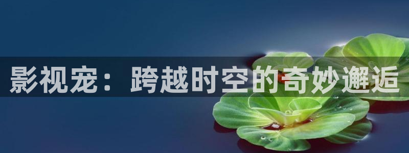 熊猫电视：影视宠：跨越时空的奇妙邂逅