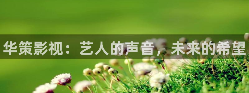 熊猫电影网在线观看高清免费版：华策影视：艺人的声音，未来的希望